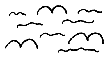 Droodle